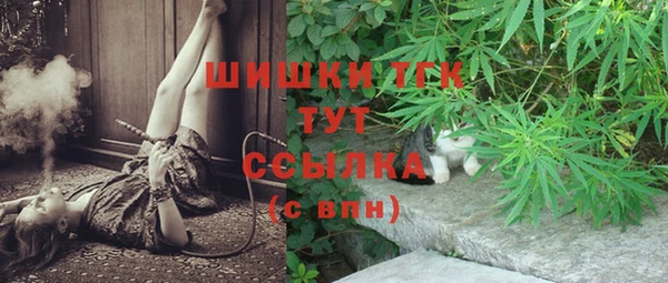 ПСИЛОЦИБИНОВЫЕ ГРИБЫ Аркадак