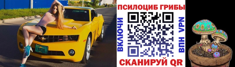Галлюциногенные грибы Cubensis  Людиново 